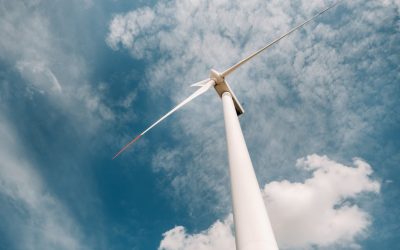 Next Legal edusti energiayhtiötä tuulivoima­­loiden myynnissä